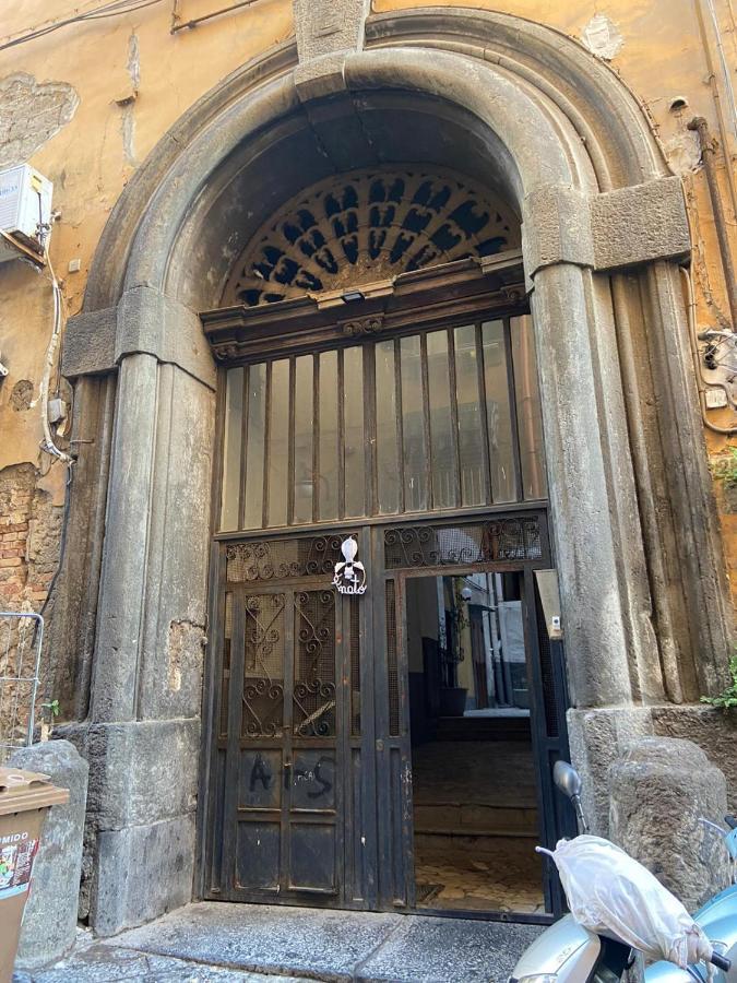 Maison Spagnoli *